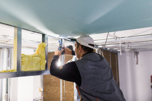Best Types of Insulation in Lake Catherine, IL
