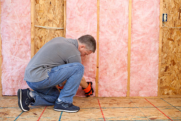 Best Commercial Insulation in Lake Catherine, IL